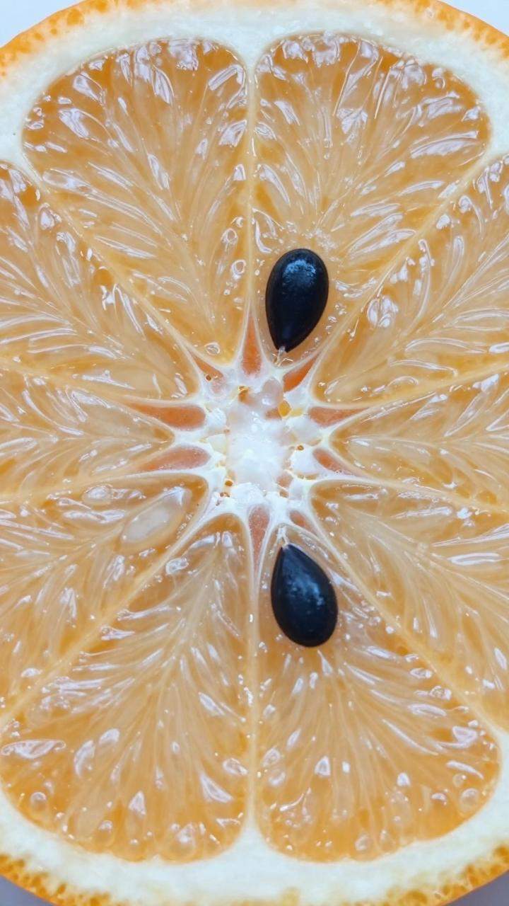 橘子籽的神奇功效与作用
