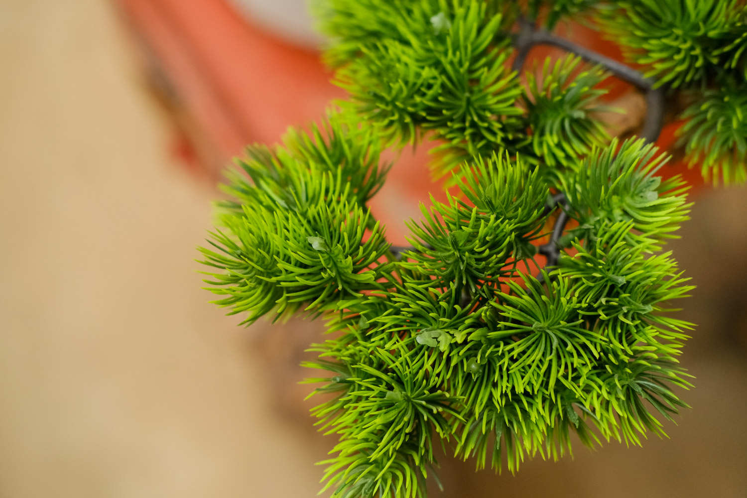 花器和花材完美结合(图4)