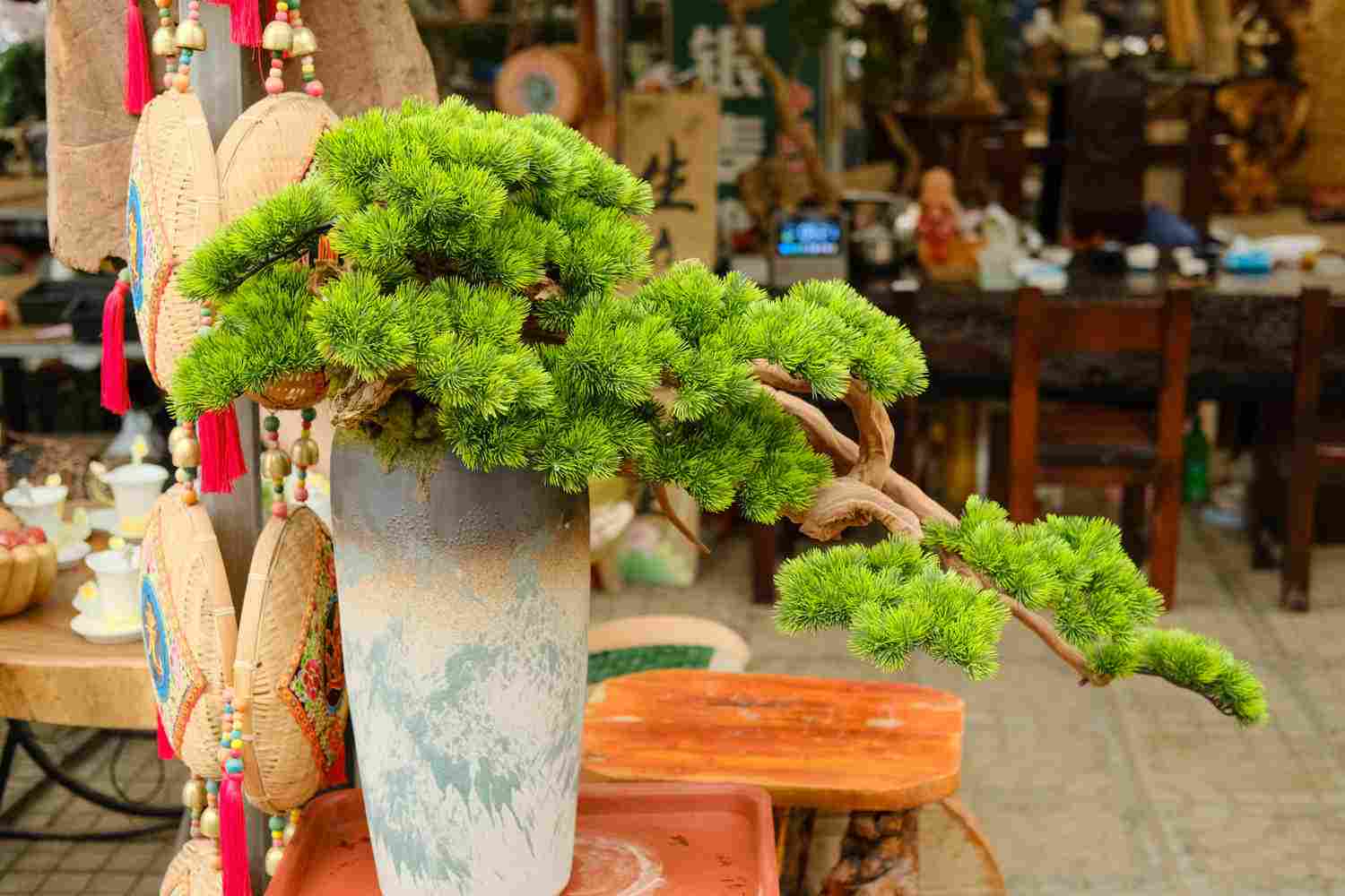 花器和花材完美结合(图6)