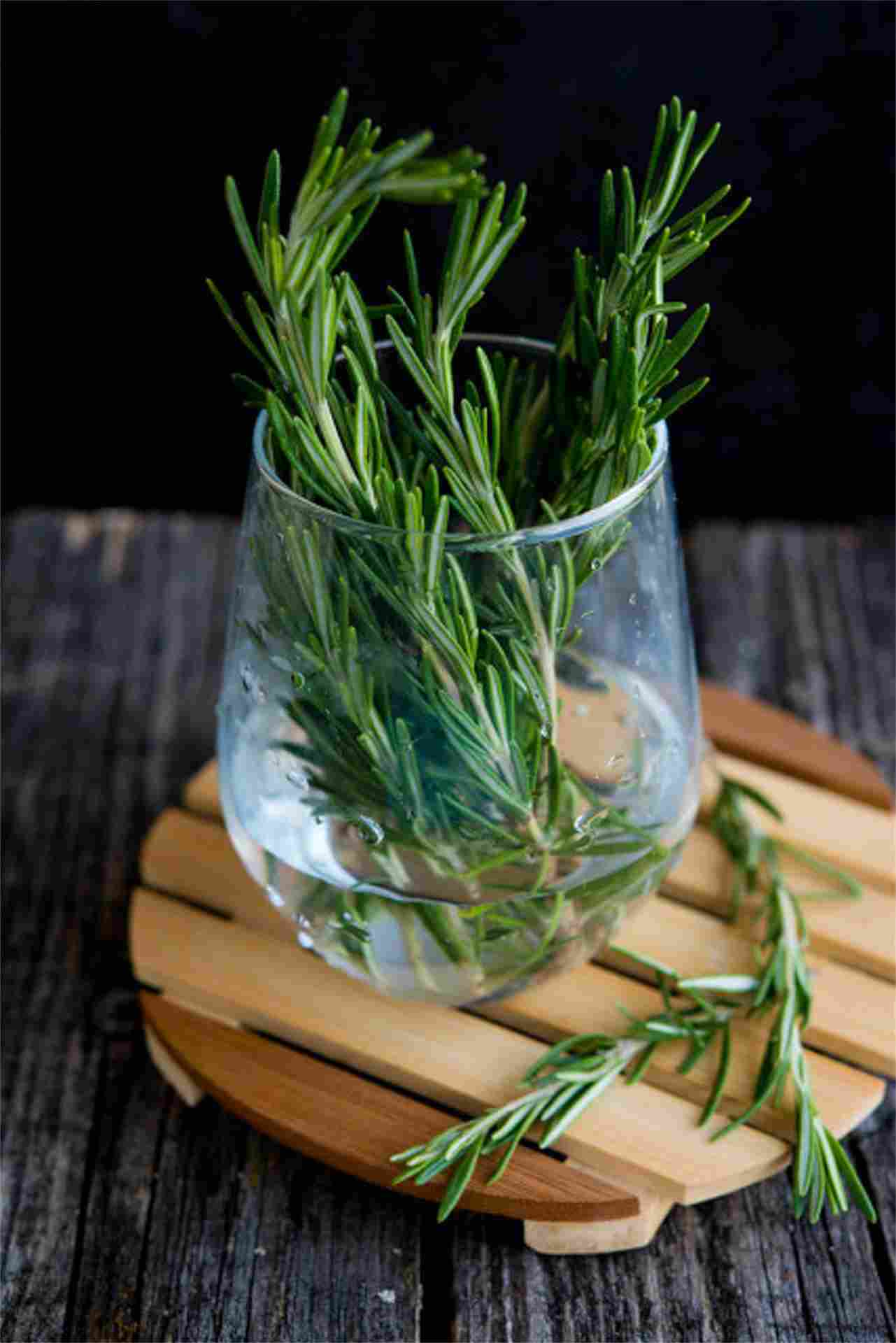 蓝色小花似水滴，海之朝露显神秘——迷迭香(图2)